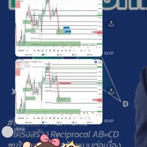 รีวิวคอร์ส Harmonic 3