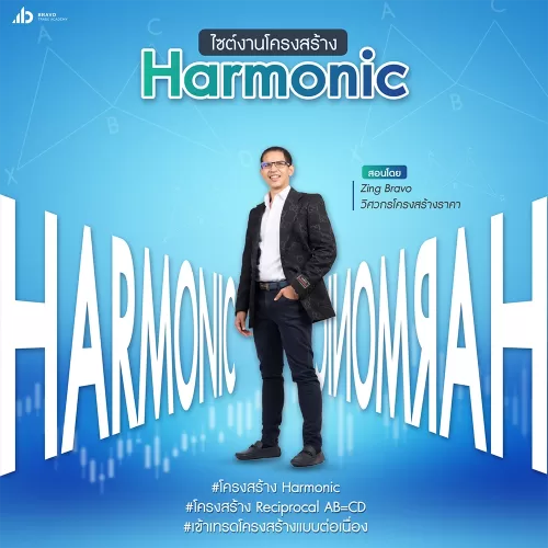 คอร์ส Harmonic Pattern