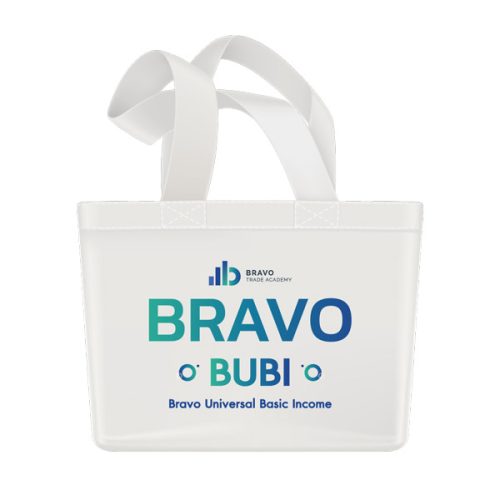 กระเป๋า Bravo BUBI