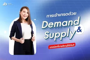 Demand Supply คืออะไร เรียนรู้เทคนิคเทรดแบบรายใหญ่