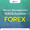 Money Management การควบคุมความเสี่ยง และการบริหารเงินทุนในตลาด Forex