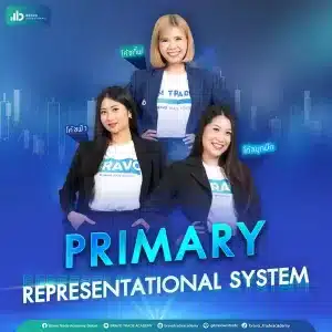 Primary Representational System