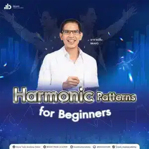 สอนฟรี Harmonic Patterns for Beginners