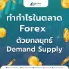 ทำกำไรในตลาด Forex ด้วยกลยุทธ์ Demand Supply Zone