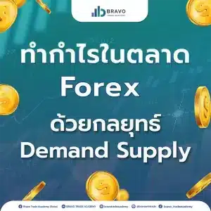 ทำกำไรในตลาด Forex ด้วยกลยุทธ์ Demand Supply Zone