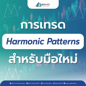 การเทรด Harmonic Patterns สำหรับมือใหม่