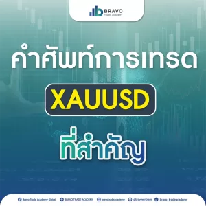 คำศัพท์การเทรด XAUUSD ที่สำคัญ